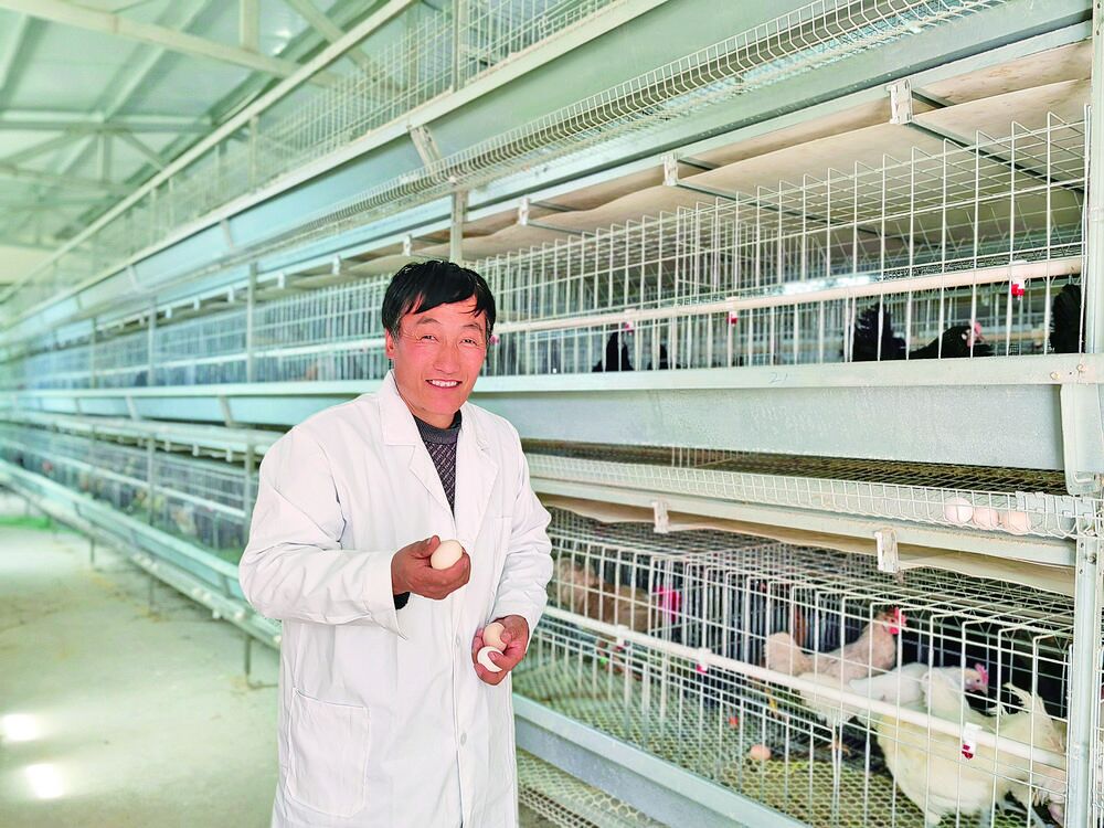 QQ�DƬ20240403054419