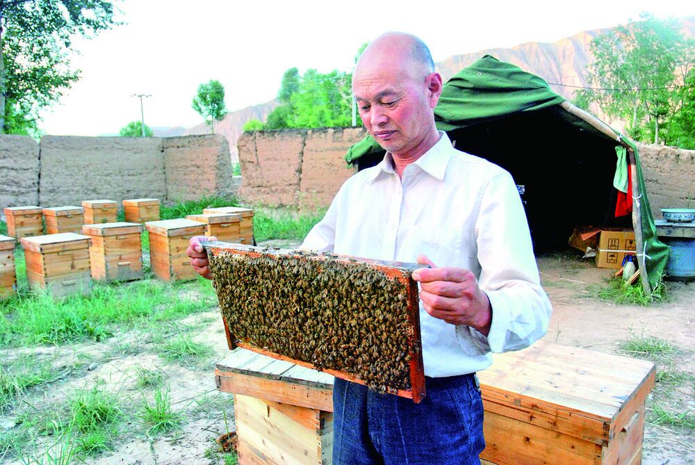 QQ�DƬ20240403060656