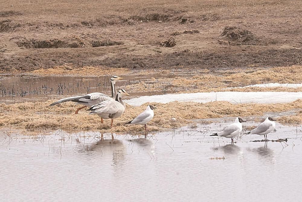 QQ�DƬ20240403063245