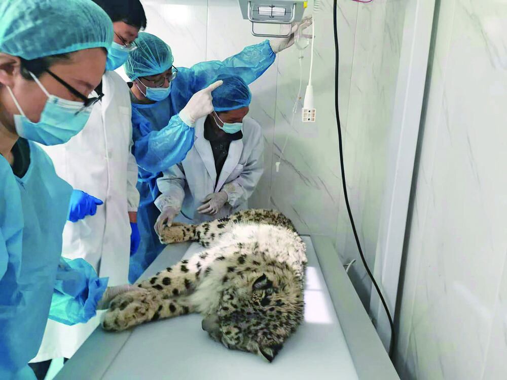 QQ�DƬ20240408062324