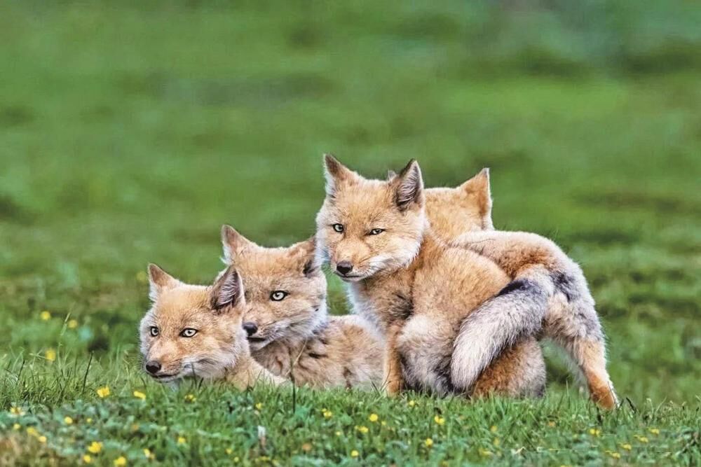 QQ�DƬ20240523054319