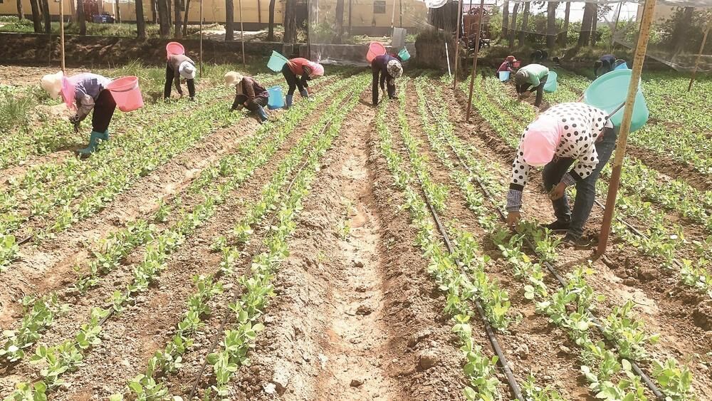 QQ�DƬ20240604062702