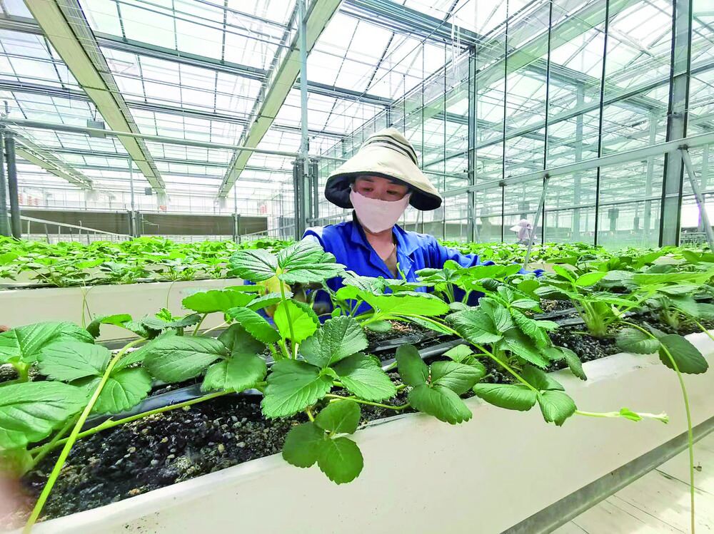 QQ圖片20240615065037