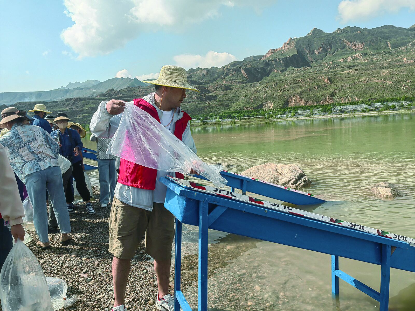 QQ�DƬ20240816055920