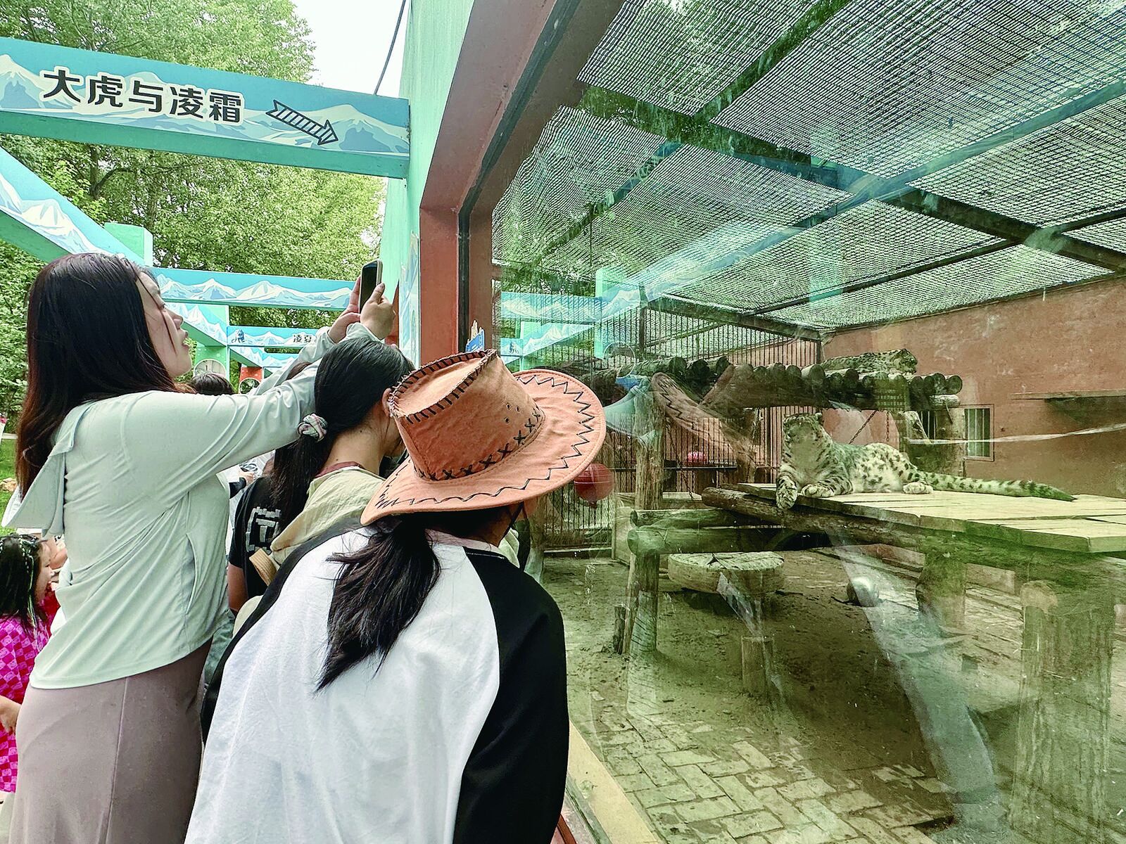 QQ�DƬ20240816061140