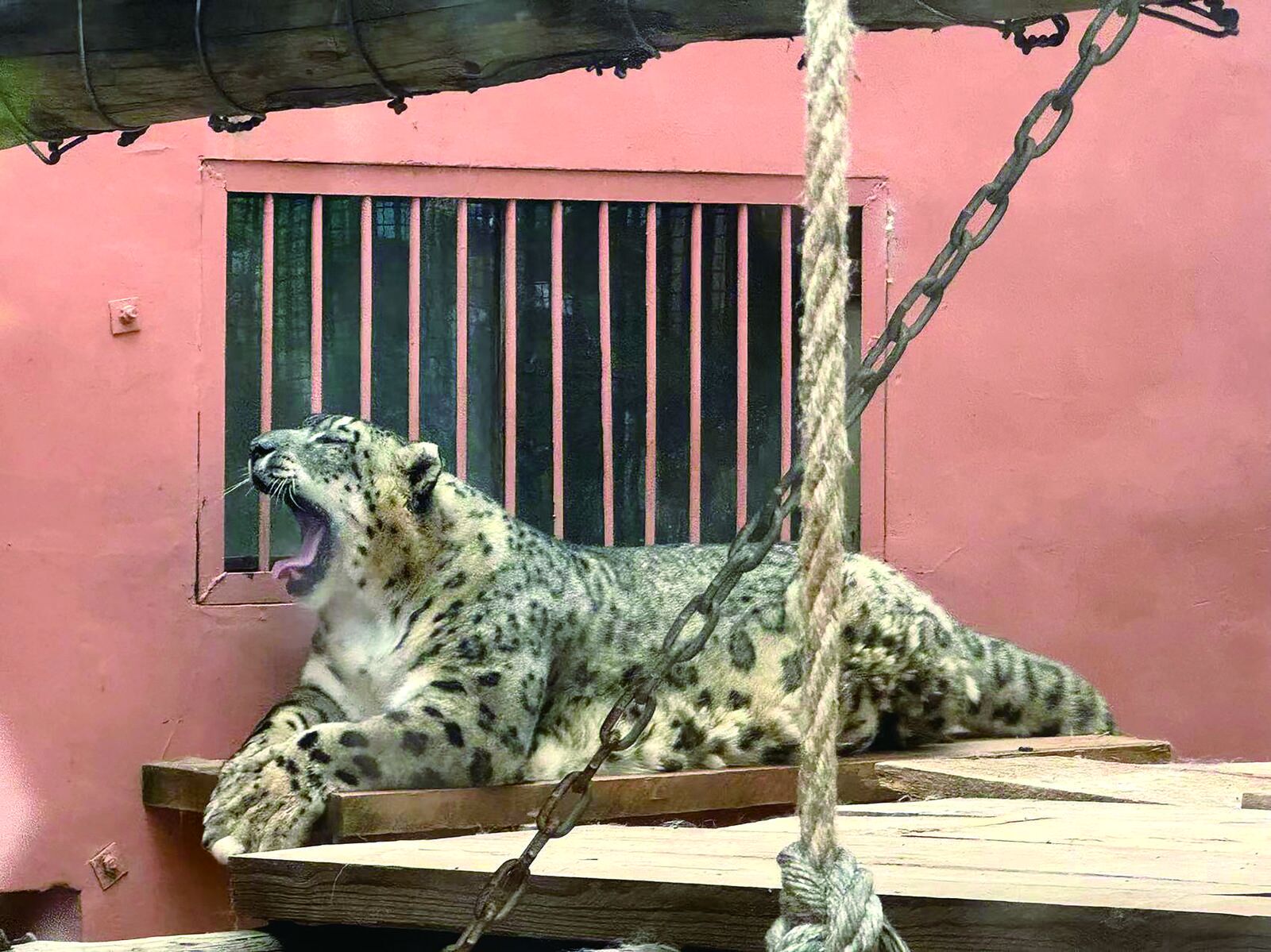 QQ�DƬ20240816061147