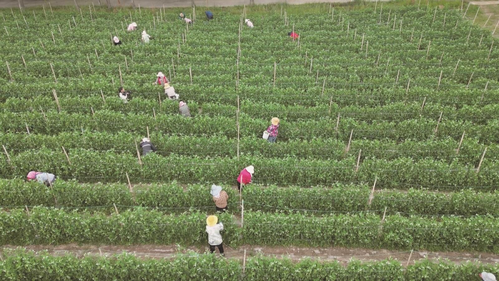 QQ�DƬ20240816064155