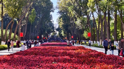 ��(gu��)�c��������6�f(w��n)�����Έ@�p��