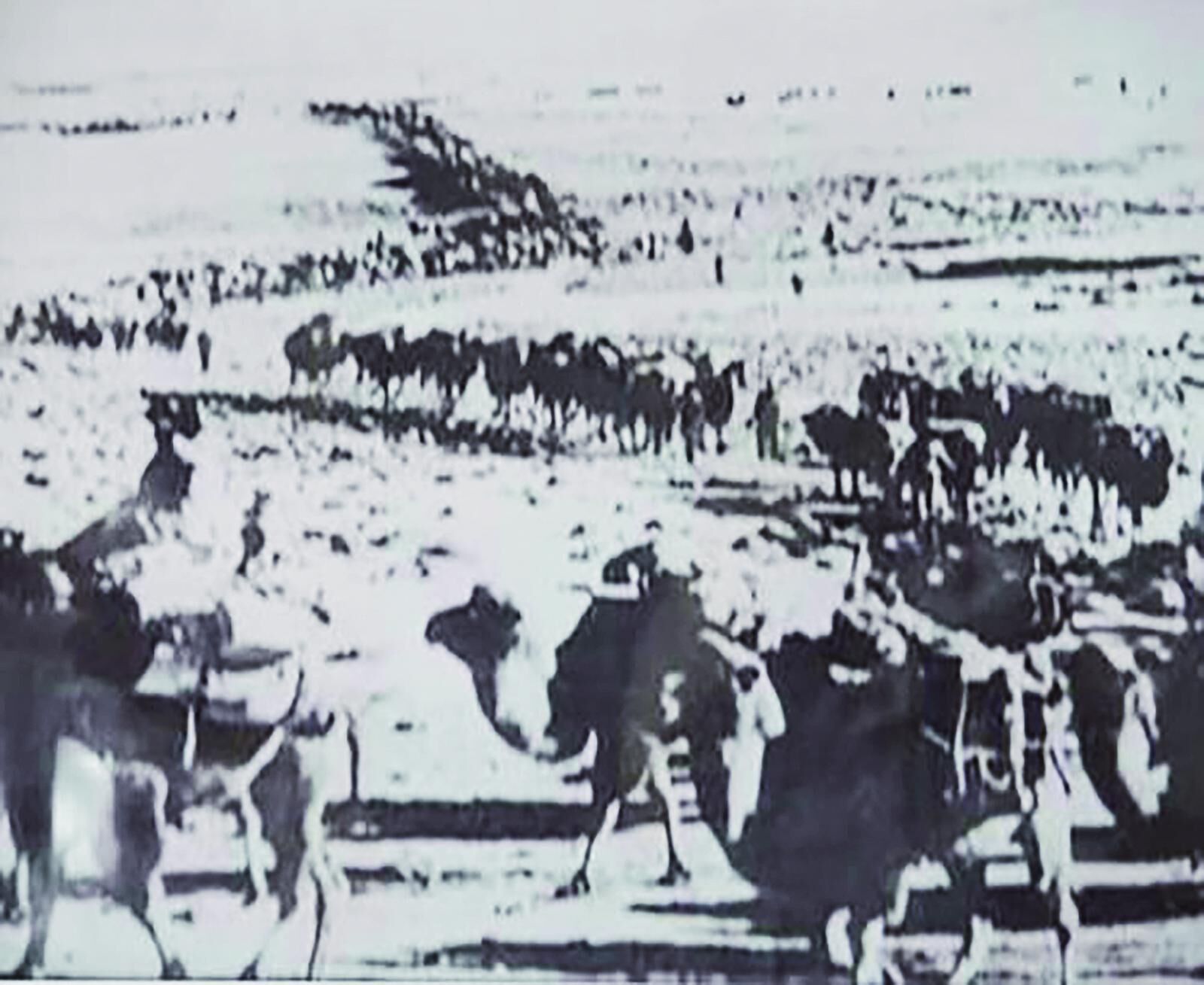 QQ�DƬ20241017055804