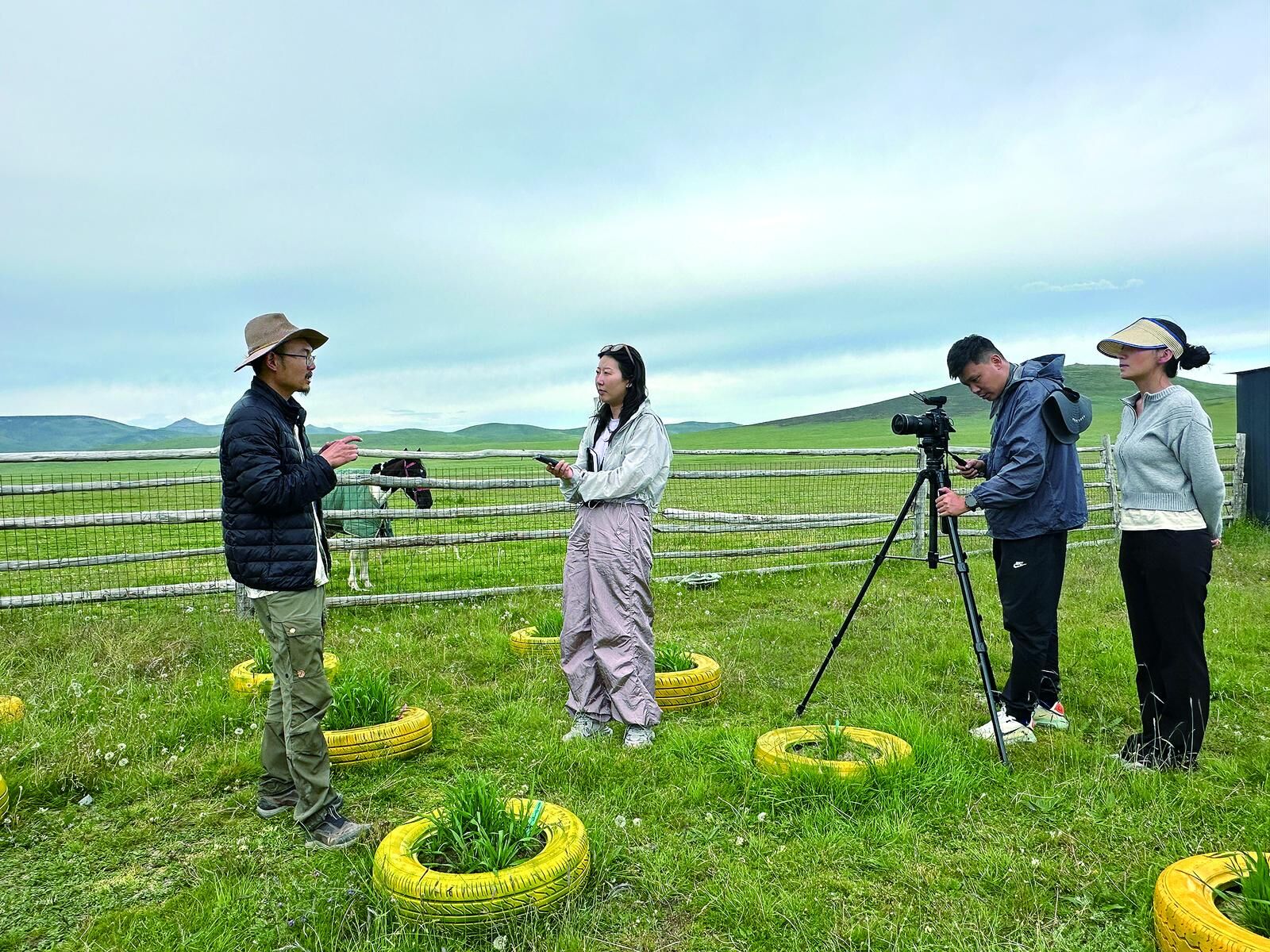 QQ�DƬ20241108064056