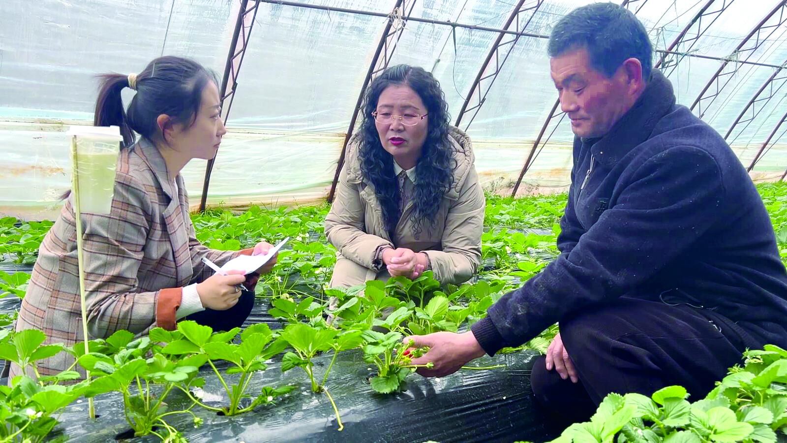 QQ�DƬ20241108064626