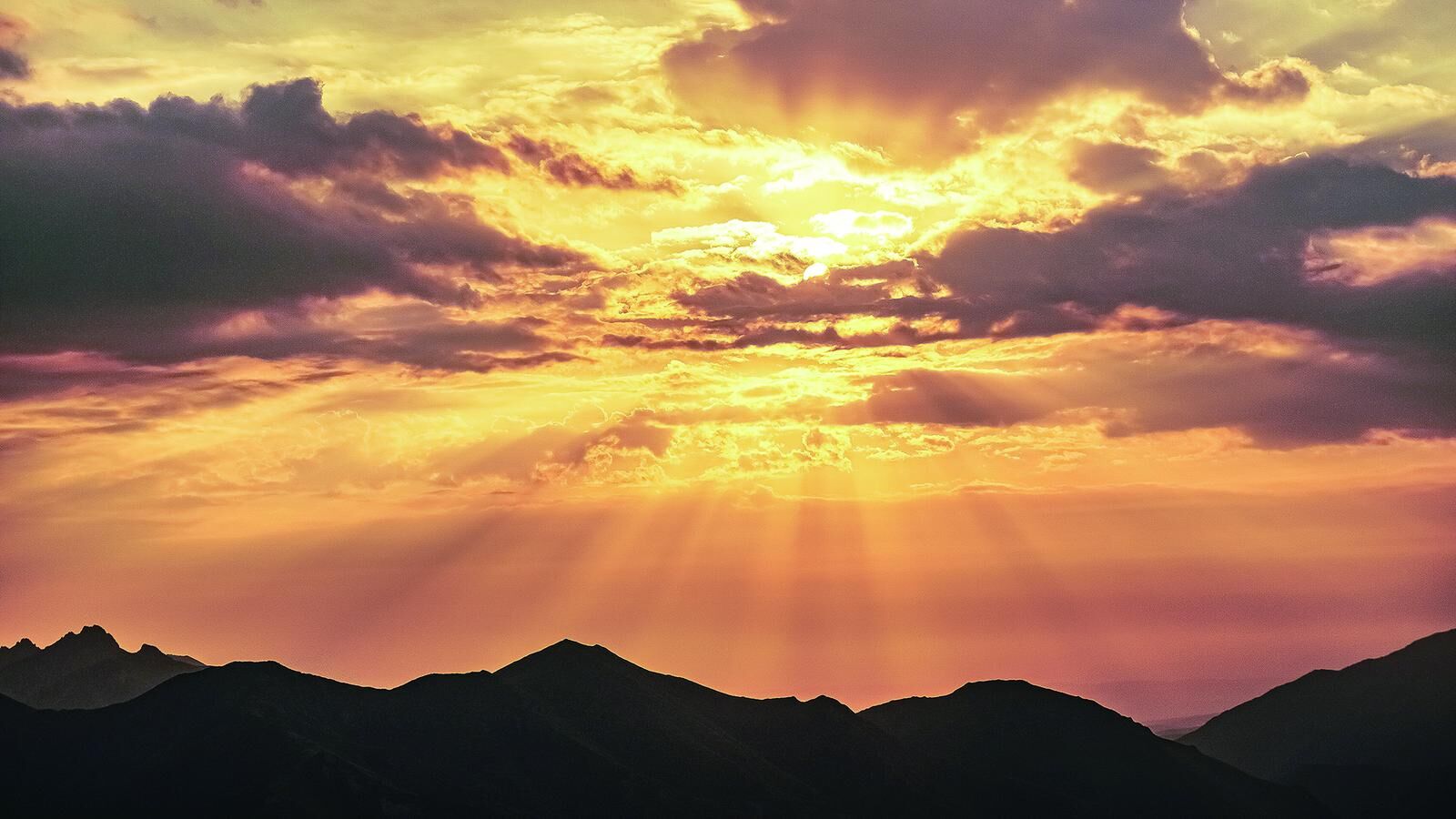 QQ�DƬ20241114054138