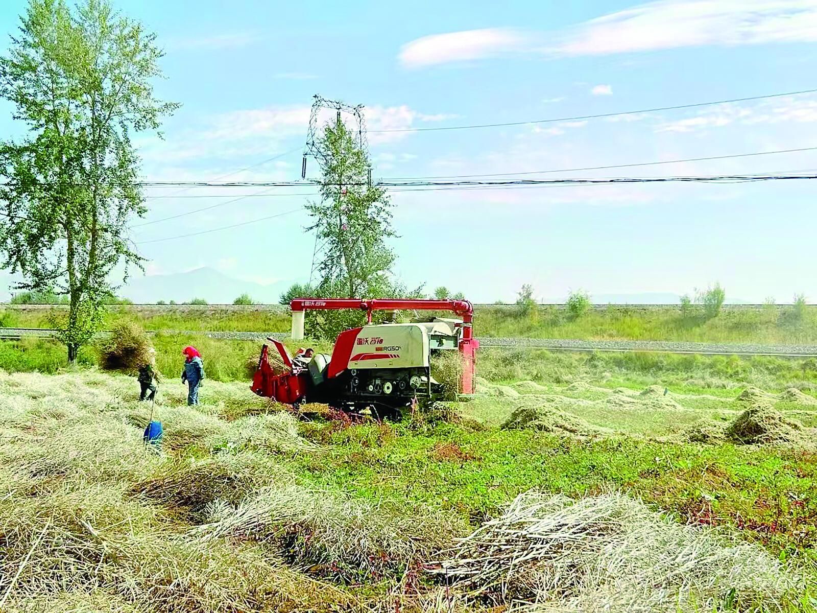 QQ�DƬ20241116060013