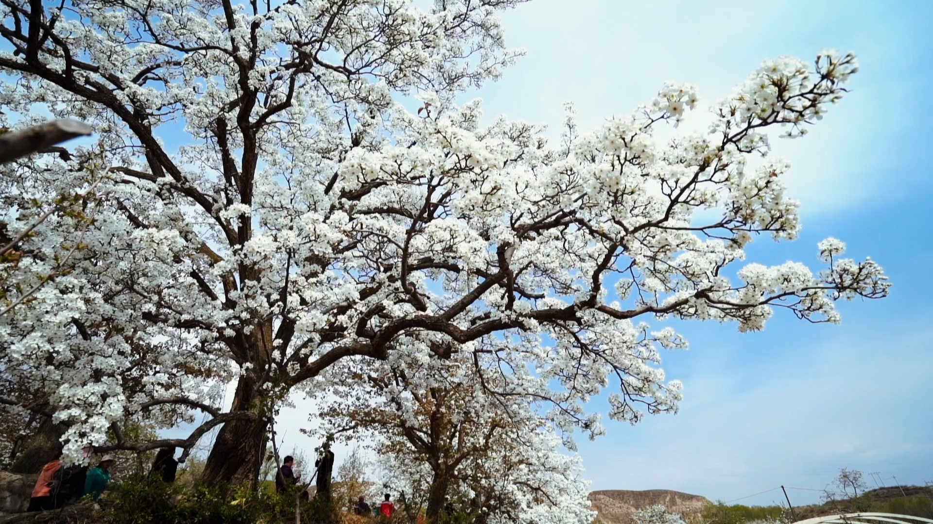 ΢�ňDƬ_20250427181612