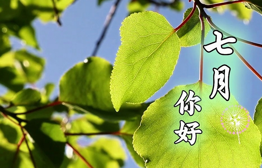 ຣľ | ԸL 