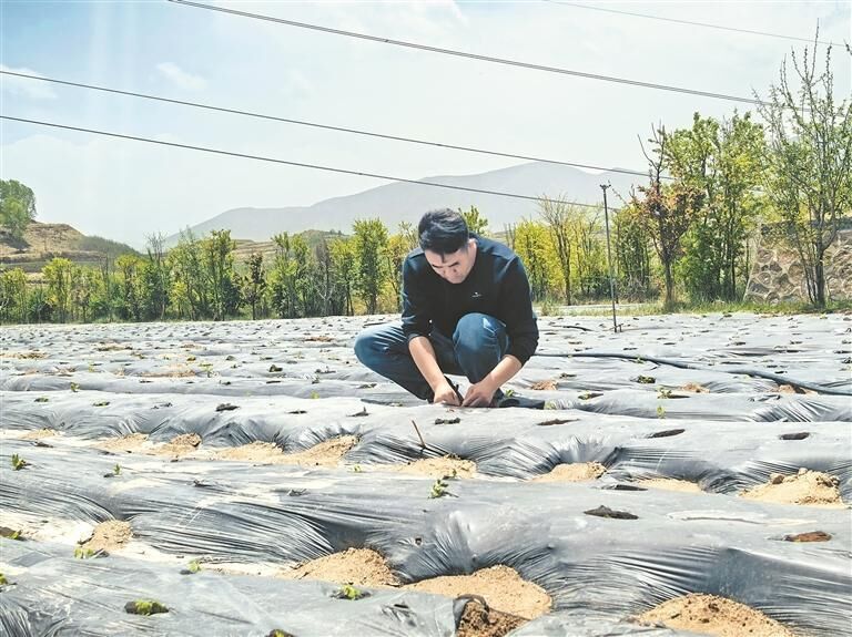 QQ�DƬ20250717054529