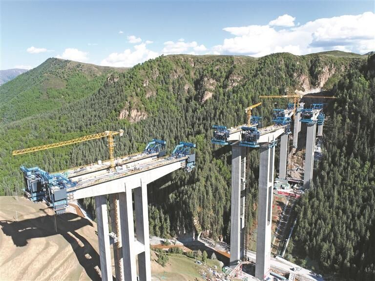 QQ�DƬ20250802055315