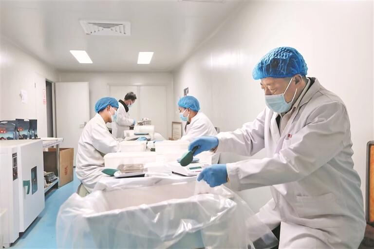 黨建引領 激活鄉村振興“紅色引擎”