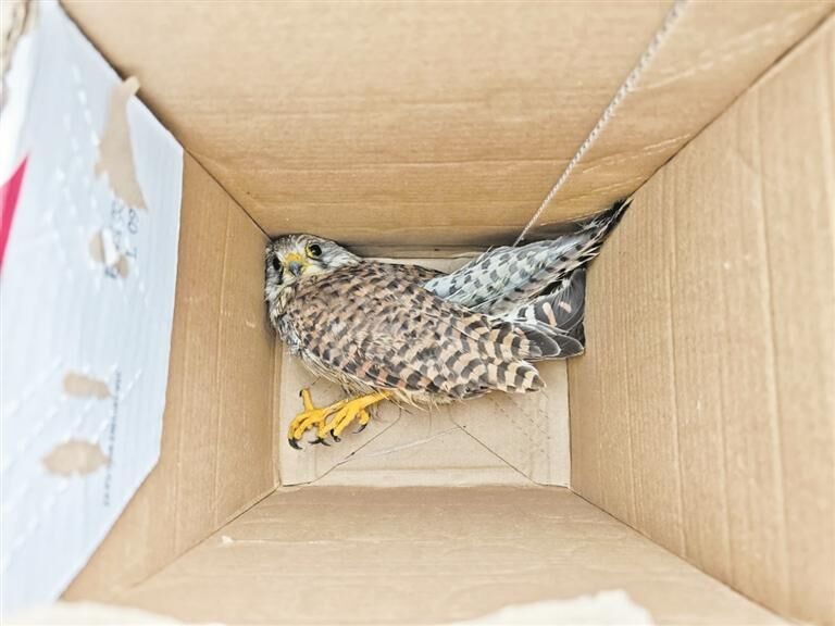 QQ�DƬ20250812061944