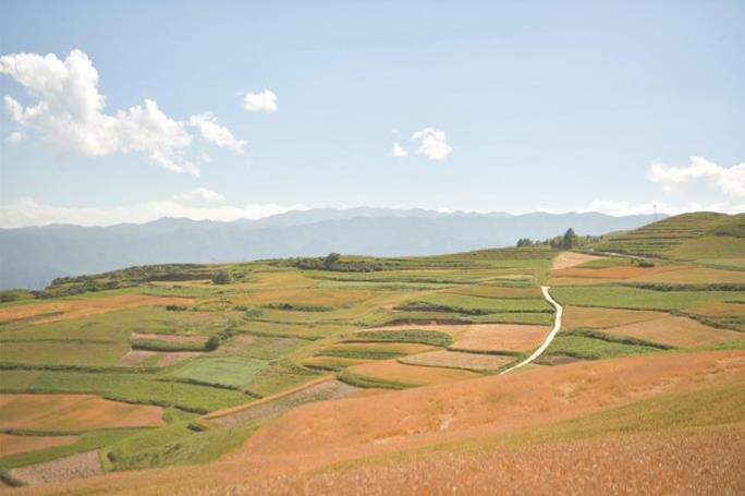 【堅定信心 實干爭先】青海化隆雄先:風光秀美的生態旅游目的地