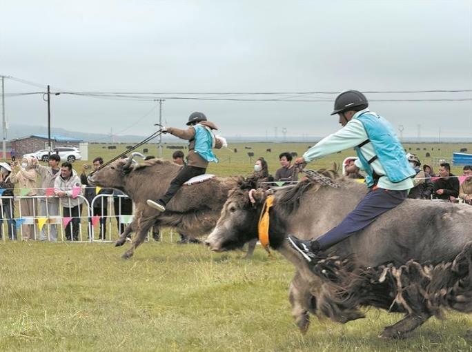 【心聲】“這場景,比任何畫作都生動”