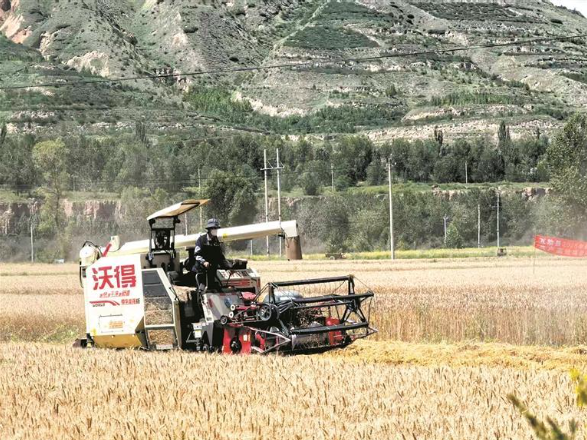 �Ѻ����D_20250824060849