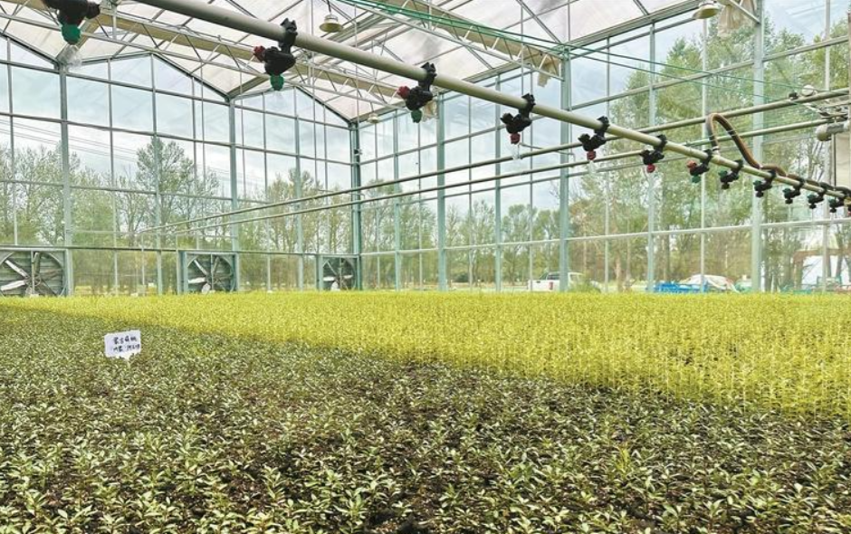 wechat_2025-08-25_053302_815