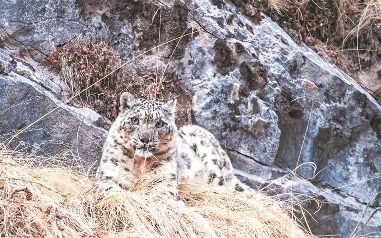 QQ�DƬ20250828055251