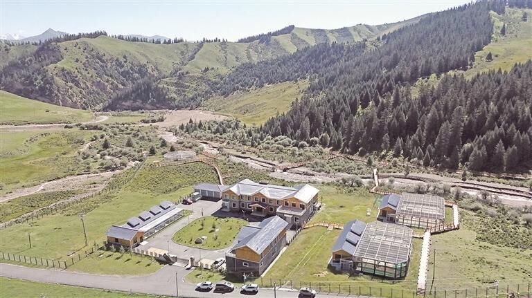 【秋行祁連山——來自一線的真情守護】90后女孩徐豐奕的青春畫卷