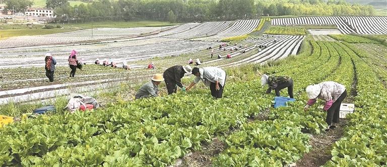 【新時代 新征程 新偉業·高質量發展調研行】青海“社零”增速首超全國的背后