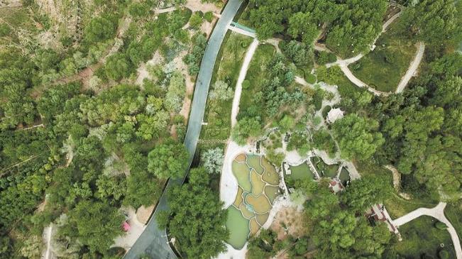 “綠肺”鮮活處,守護寫深情