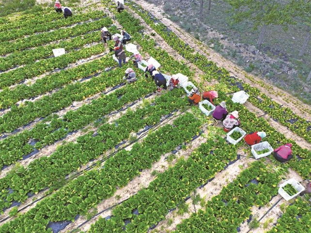 wechat_2025-09-28_071633_831