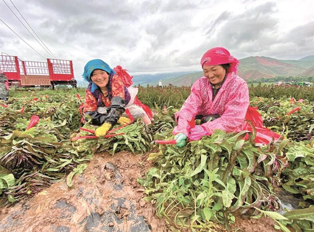 wechat_2025-09-28_072028_550