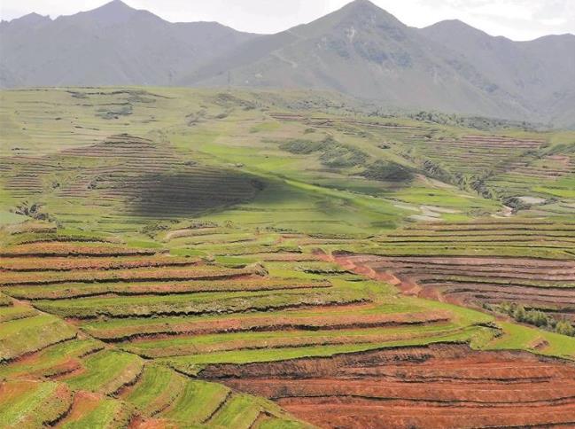 河湟沃野守倉廩——寫在第45個世界糧食日到來之際