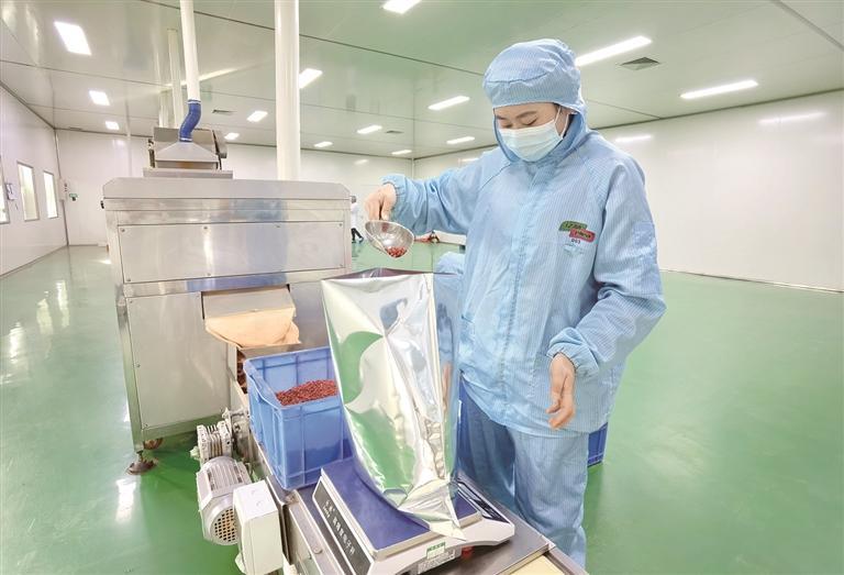 青海格爾木枸杞遠(yuǎn)銷(xiāo)歐洲多國(guó)