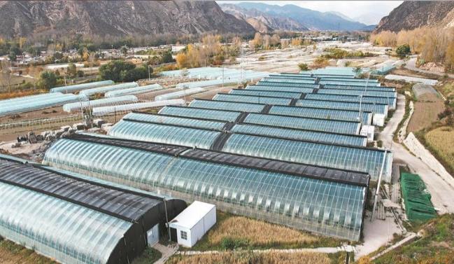 【鄉(xiāng)村振興在青海】鄉(xiāng)村振興的“幸福拼圖”