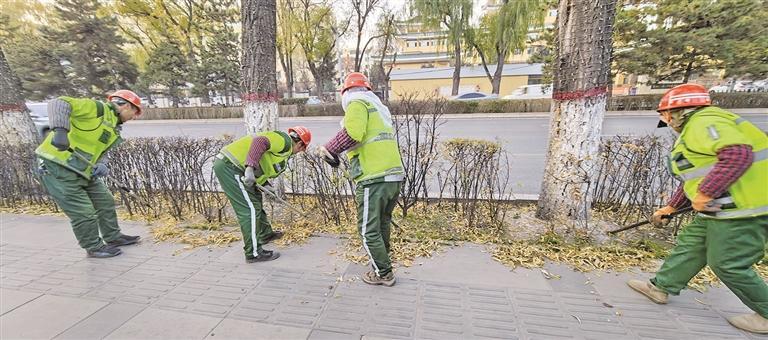 西寧的落葉都去哪兒了