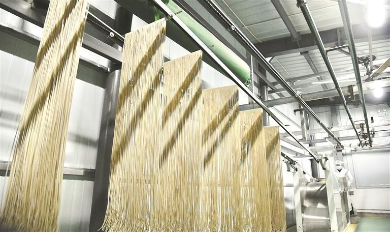 一把面條“煮”出鄉村振興好日子