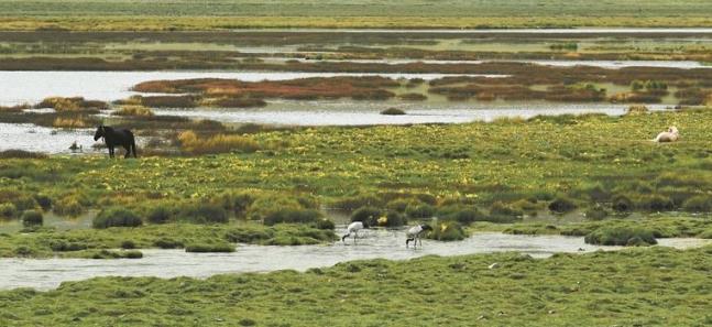 【關(guān)注】發(fā)揮政協(xié)作用 助力生物多樣性保護(hù)——省政協(xié)圍繞“全面加強(qiáng)生物多樣性保護(hù),推進(jìn)實(shí)現(xiàn)生態(tài)功能最大化”協(xié)商議政