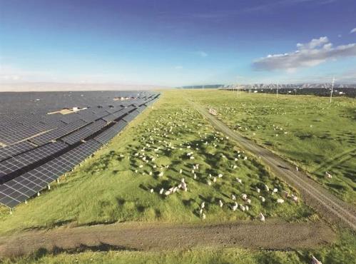 【波瀾壯闊“十四五”】高原之治 綠色之基 新時代青海為國家發展注入生態動能