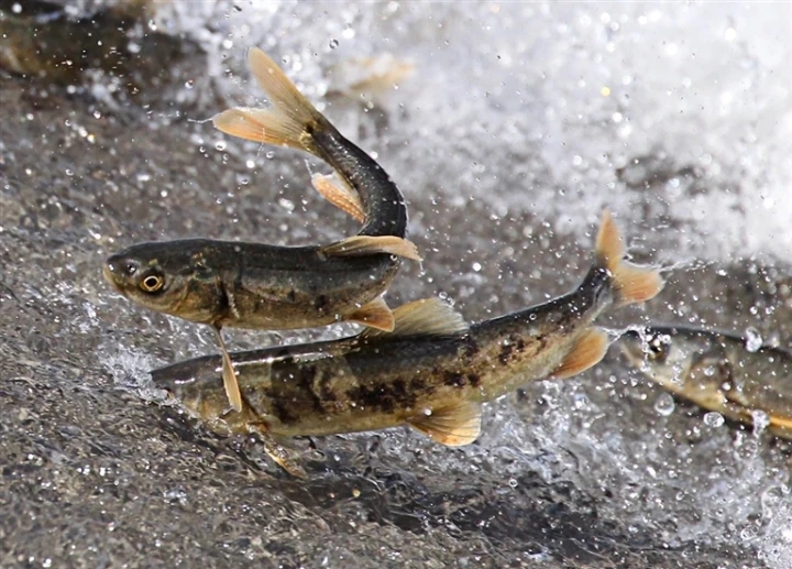 �@�ǁ����ຣ�����~�Ī���